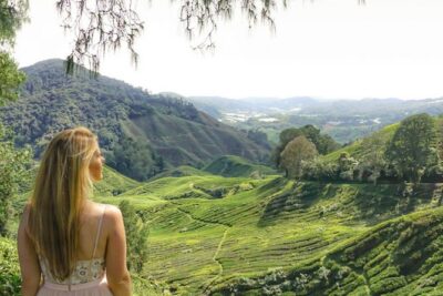 Explore Cameron Highlands: Full-Day Tour with Scenic Batu Caves