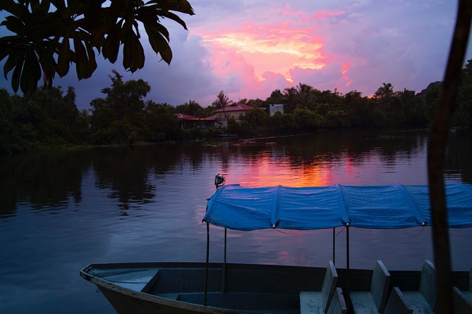 Fireflies Tour in Cherating - Price and Value: What $18 Buys You in Cherating