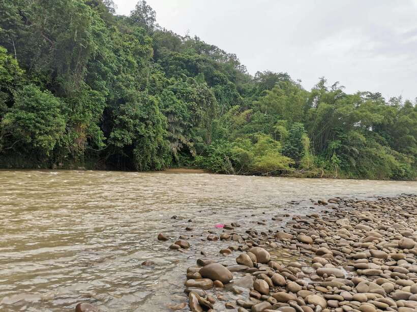From Kota Kinabalu : Kiulu White Water Rafting Tour + meal - Who this Kiulu rafting suits best, and who should skip it