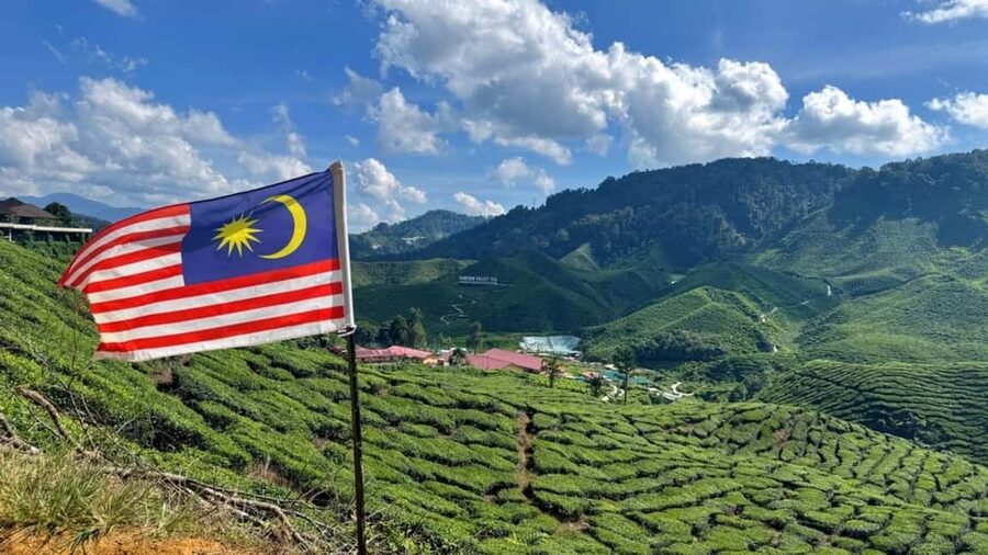From Kuala Lumpur: Cameron Highlands Day Tour with Lunch - Timing, Weather, and Shared Tour Reality: How to Stay Calm and Still Have Fun