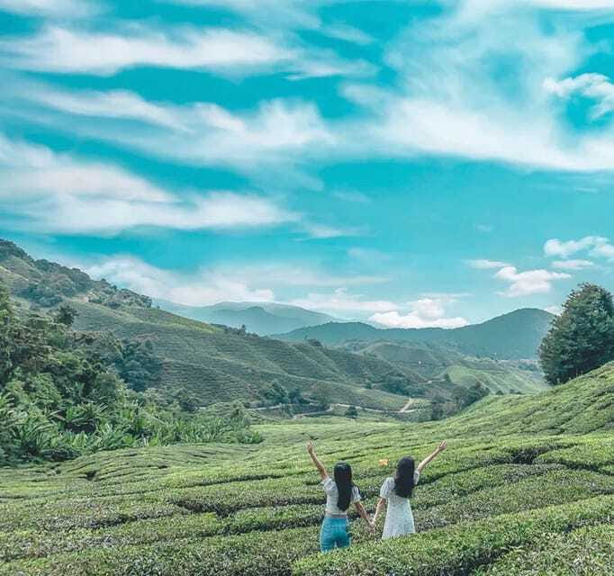 From Kuala Lumpur: Cameron Highlands Day Trip with Transfers - Orang Asli village visit, culture you should treat with care