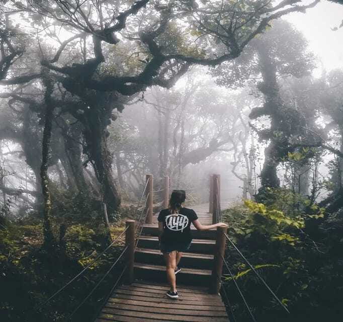 From Kuala Lumpur: Cameron Highlands Day Trip with Transfers - Boh Centre lunch time, plan your break and your budget