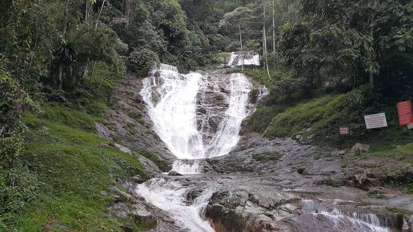 From Kuala Lumpur: Cameron Highlands Full-Day Tour - Kea Farm vegetable market plus honey bee farm: food as a storyline