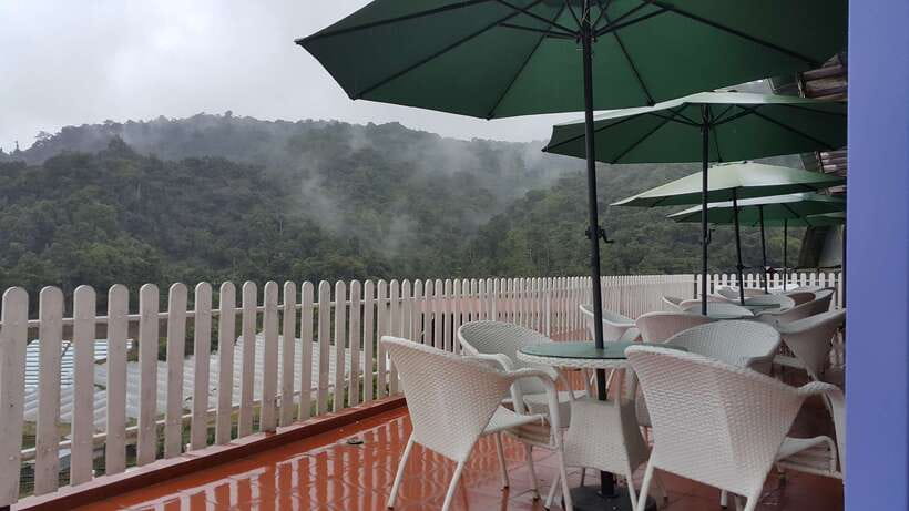 From Kuala Lumpur: Cameron Highlands Full-Day Tour - Lata Iskandar Waterfall: short stop, calm pools, real rainforest feel