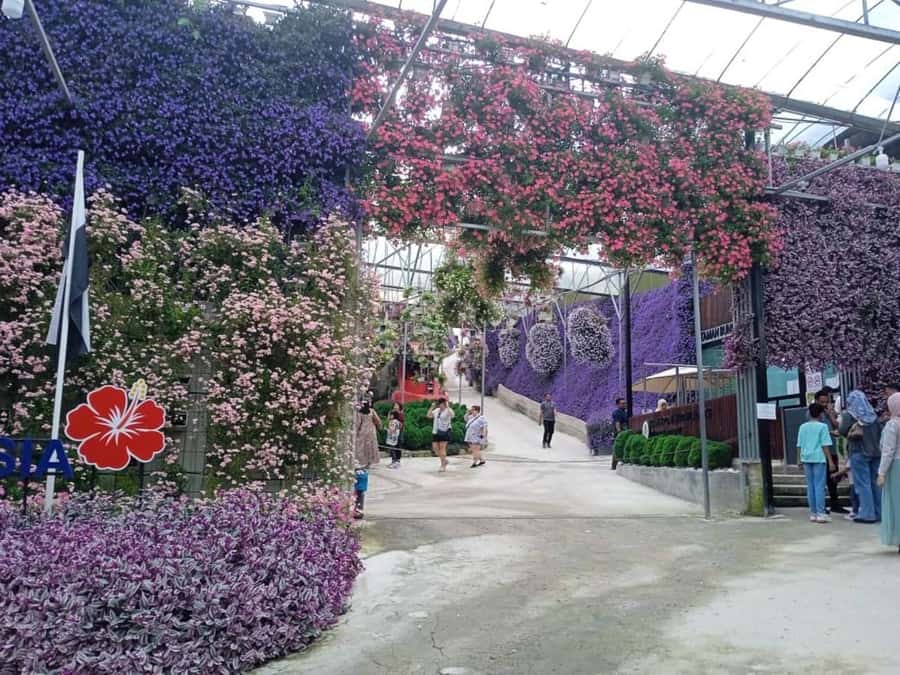 From Kuala Lumpur: Cameron Highlands Private or Join In Tour - Price and Value: What $98 Covers (and What It Doesn’t)