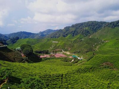 Cameron Highlands Private or Join In Tour