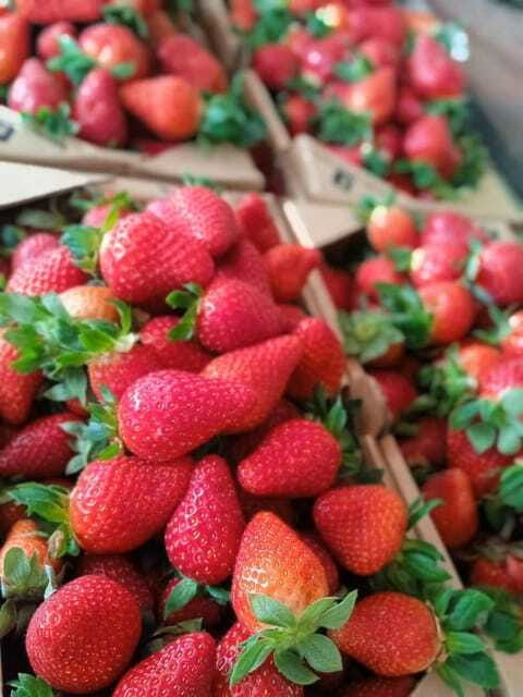From Kuala Lumpur: Cameron Highlands Private or Join In Tour - Kea Farm and the High-Altitude Produce Factor