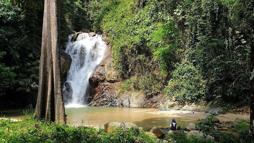 From Kuala Lumpur: Elephant Sanctuary Guided Tour - Key things that make this tour worth your time