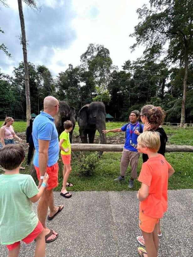 From Kuala Lumpur: Elephant Sanctuary Guided Tour - The real draw: rescued elephants plus a true jungle water break
