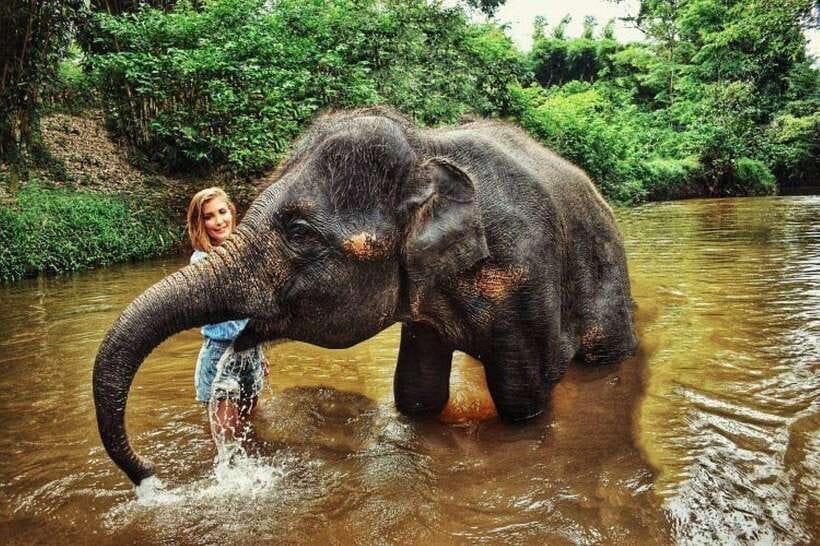 From Kuala Lumpur: Elephant Sanctuary Guided Tour - The drive into Pahang, plus the aboriginal settlement stop