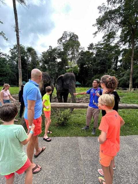 From Kuala Lumpur: Elephant Sanctuary Guided Tour - What to bring, and the rules that shape the experience