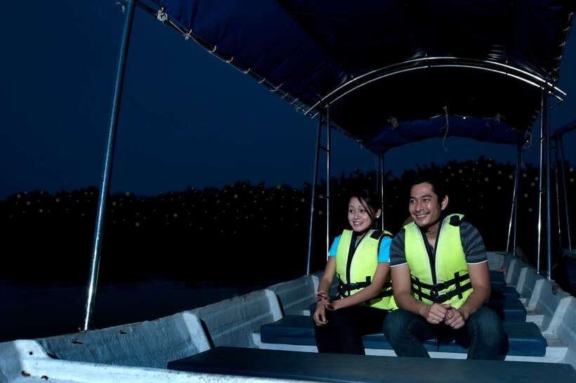 From Kuala Lumpur: Fireflies Tour and Seafood Dinner - Key Things to Know Before You Go
