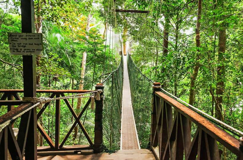From Kuala Lumpur: Full-Day Taman Negara National Park - From KL at 06:00: the long drive that makes or breaks the day