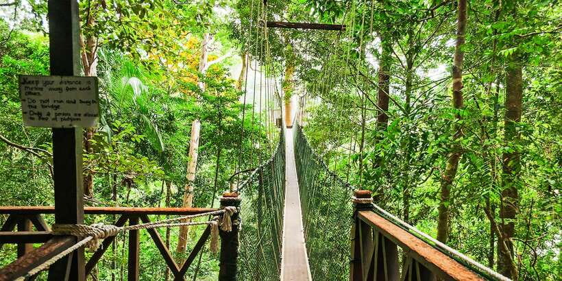 From Kuala Lumpur: Full-Day Taman Negara National Park - River boat rental: serene rainforest time plus the water-level wildcard