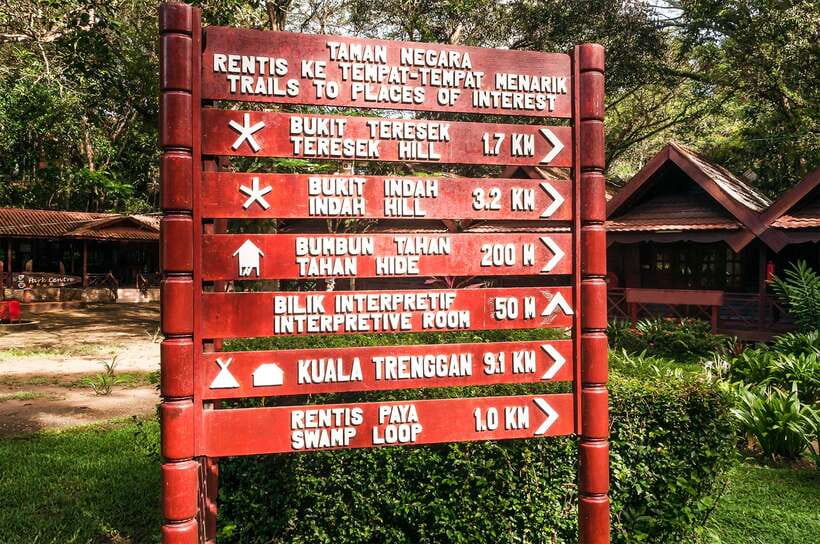 From Kuala Lumpur: Full-Day Taman Negara National Park - Canopy walk dreams, Tualang Tree stops, and the reality of jungle walking