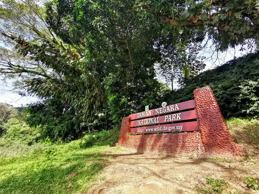 From Kuala Lumpur: Full Day Tour to Taman Negara - Key things to know before you go