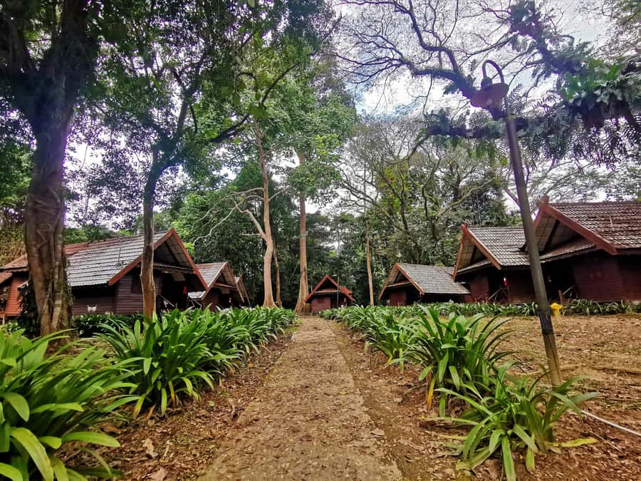 From Kuala Lumpur: Full Day Tour to Taman Negara - Taman Negara National Park: guided trekking at rainforest pace