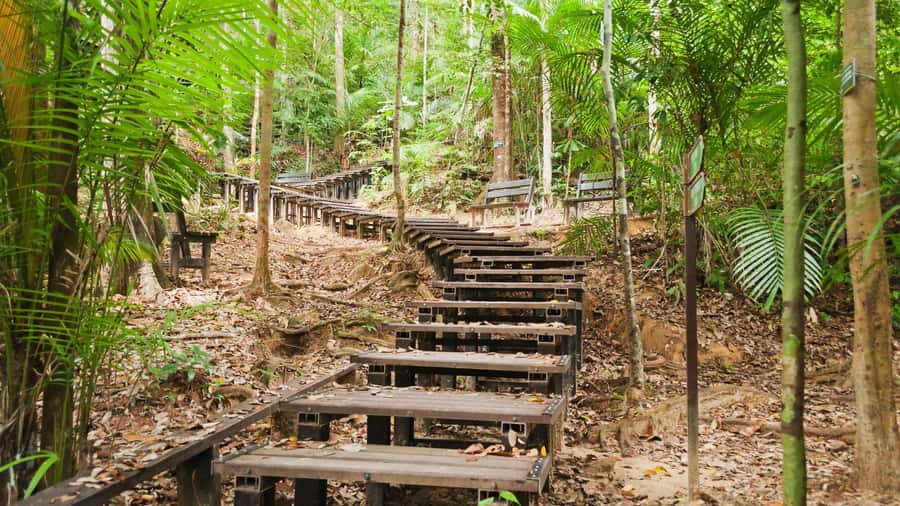 From Kuala Lumpur: Full Day Tour to Taman Negara - Lunch stop: refuel the smart way