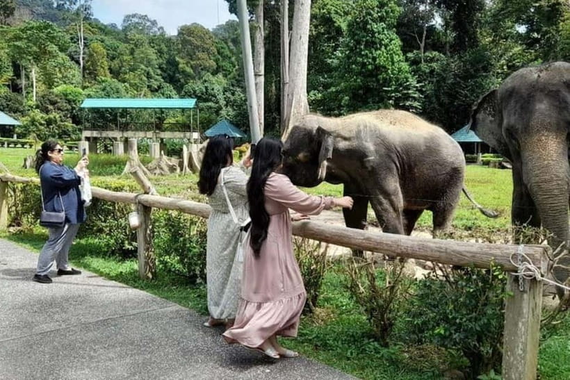 From Kuala Lumpur: Kuala Gandah & Batu Caves Day Trip - Batu Caves, a short stop that stays on purpose