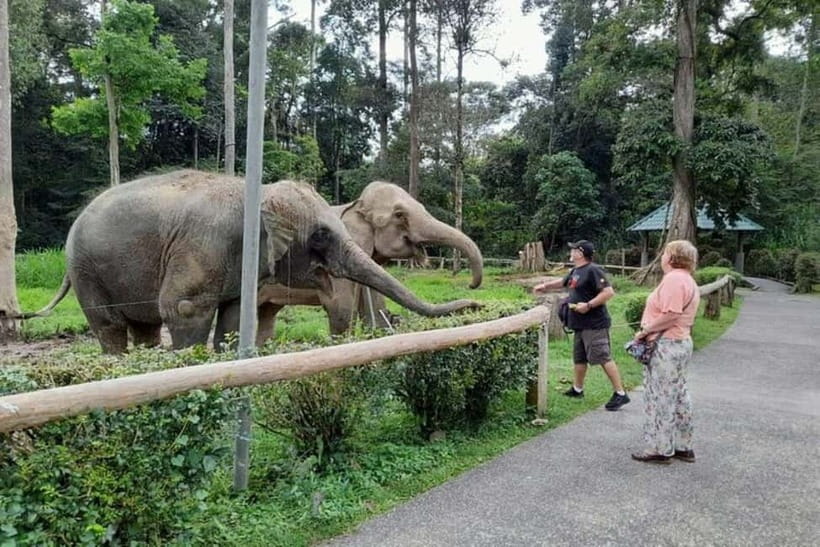 From Kuala Lumpur: Kuala Gandah & Batu Caves Day Trip - What to look for when choosing your guide day-of