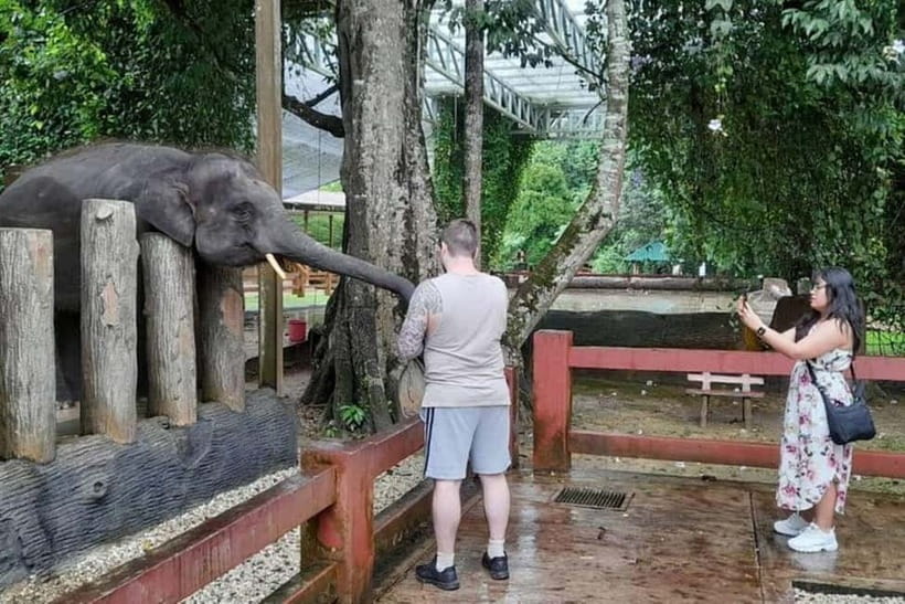 From Kuala Lumpur: Kuala Gandah & Batu Caves Day Trip - Elephant Sanctuary Kuala Gandah, conservation learning you can actually use
