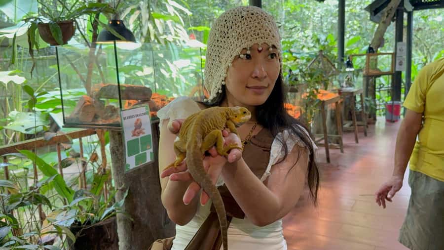 From Kuala Lumpur: Kuala Gandah Elephant Sanctuary Day Trip - What’s included in the $57 price, and what’s not