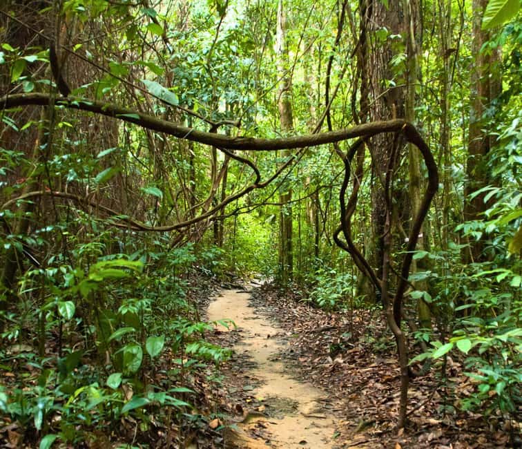From Kuala Lumpur: Taman Negara National Park Private Tour - Key things to know before you go