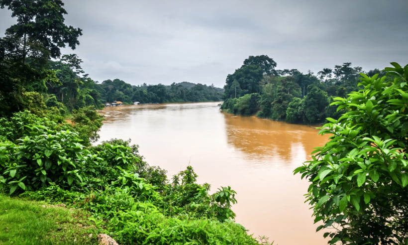 From Kuala Lumpur: Taman Negara National Park Private Tour - What the tour includes, and why the private format can justify the price