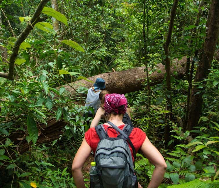 From Kuala Lumpur: Taman Negara National Park Private Tour - Why Taman Negara feels different on a private, multi-stop day
