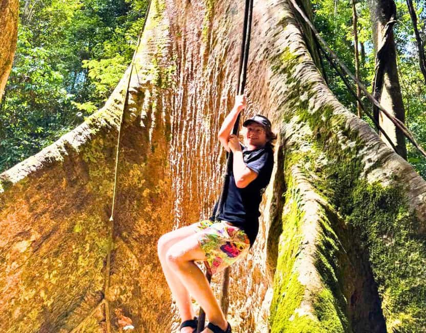 From Kuala Lumpur: Taman Negara National Park Private Tour - Kuala Tahan arrival: the park gateway you’ll actually feel