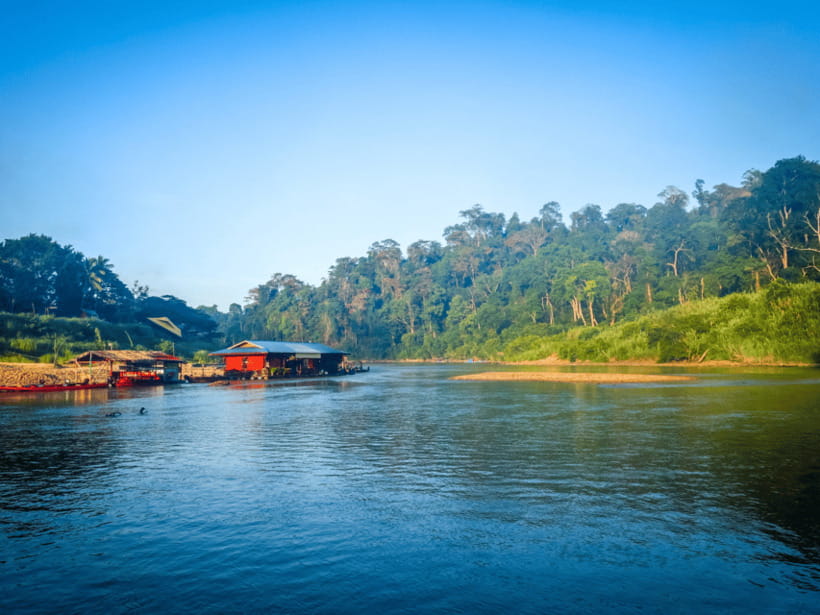 From Kuala Lumpur: Taman Negara National Park Private Tour - Lubuk Simpon natural pool: the refresh button in the middle of the rainforest