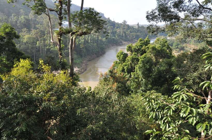 From Kuala Lumpur: Taman Negara National Park Trek Day Tour - Key Points You Should Know Before You Go