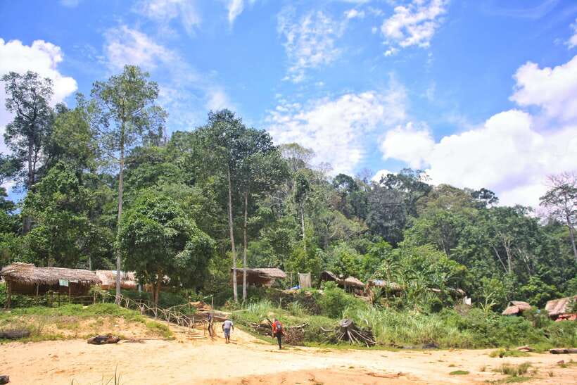 From Kuala Lumpur: Taman Negara National Park Trek Day Tour - Who This Tour Fits Best (and Who Should Skip It)