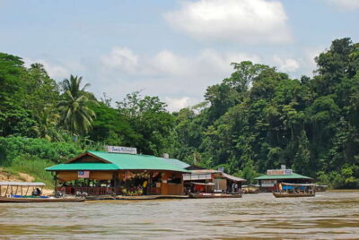 Taman Negara National Park Trek Day Tour