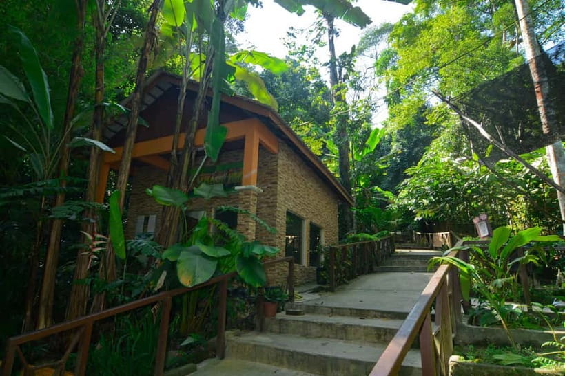 From Kuala Lumpur: Taman Negara Private Tour - Key things to know before you go