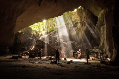 Taman Negara Private Tour