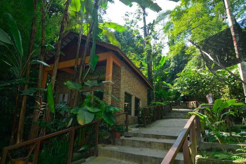 From Kuala Lumpur: Taman Negara Private Tour - FAQ