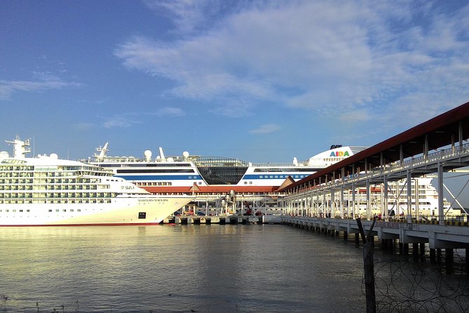 From Port Klang Cruise To Kuala Lumpur City Sightseeing Tour - Key things to know before you go