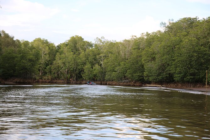 Full Day Bongawan River Cruise with Proboscis Monkey Sightseeing - Should You Book This Bongawan River Cruise?