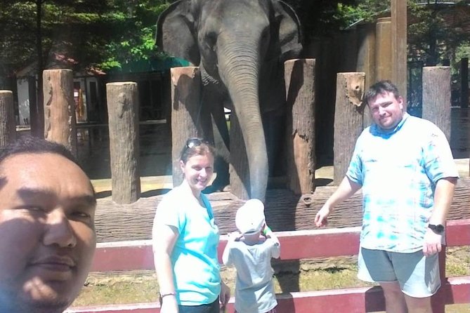 Full Day Elephant Sanctuary Tour with a Free Batu Caves Visit - Price and value: what $100 buys, and where the extra costs can pop up