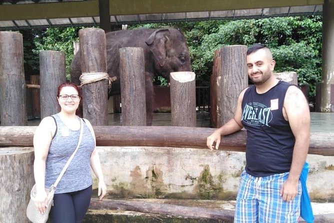 Full Day Elephant Sanctuary Tour with a Free Batu Caves Visit - Who this tour is best for