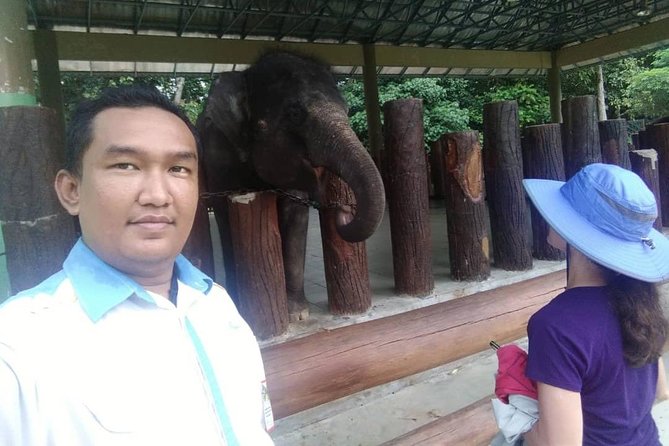Full Day Elephant Sanctuary Tour with a Free Batu Caves Visit - Batu Caves: temple views, 272 steps, and when early matters
