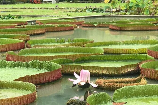Full Day Flexi Private Tour in Penang Island with Pickup - Khoo Kongsi: clan architecture, then you switch gears to nature
