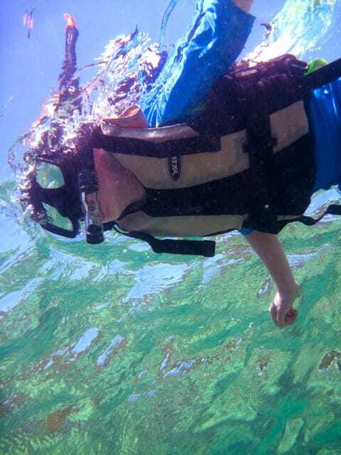 Full-Day Guided Snorkeling Tour from Kota Kinabalu - Tunku Abdul Rahman Marine Park and the Coral Triangle, in one packed day