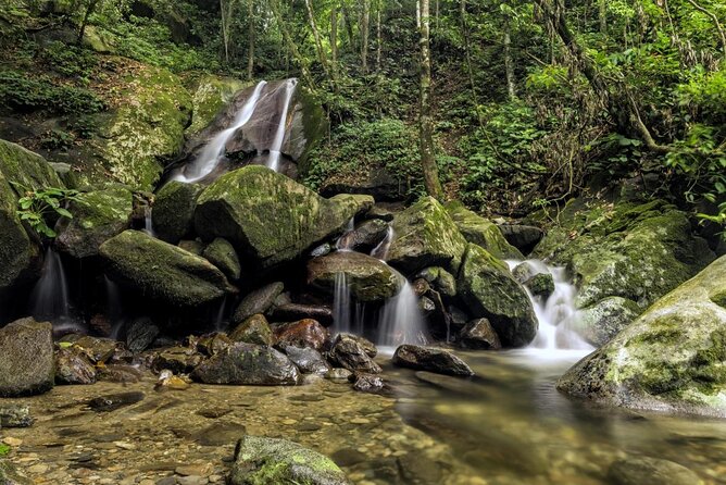 Full-Day Kinabalu Park and Poring Hot Spring Day Trip - Key highlights to know before you go