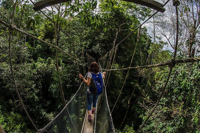 Full-Day Kinabalu Park and Poring Hot Spring Day Trip - Kinabalu Park walk: UNESCO biodiversity with a guided trail