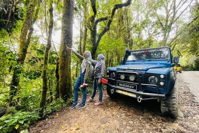 Full Day Mossy Forest Experience - Key highlights if you want the good stuff