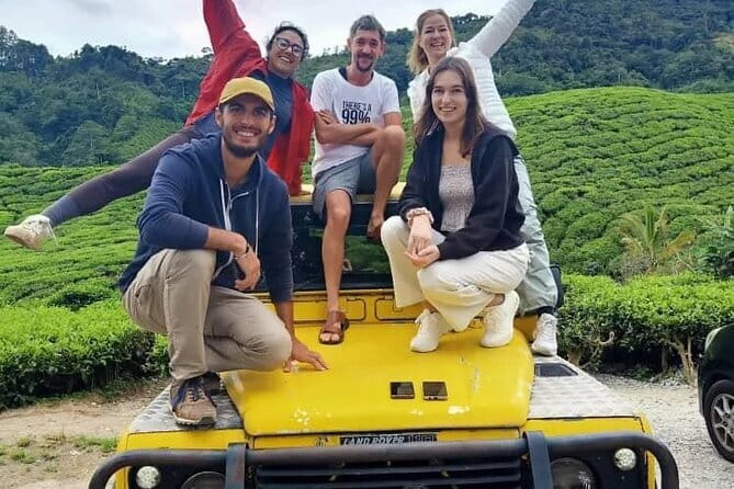 Full Day Mossy Forest Experience - Raju Hill Strawberry Farm: a short self-pick stop that feels hands-on
