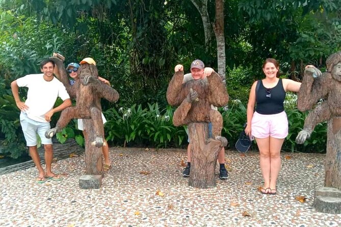 Full Day Orang Utan Sepilok, Proboscis Monkey, Sunbear, RDC - Quick hit highlights