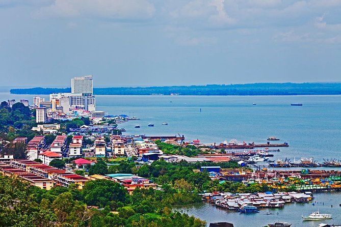 Full-Day Sepilok Orangutan and Sandakan City Trail from Kota Kinabalu - The rainforest nature trail: your slower hour in a packed day